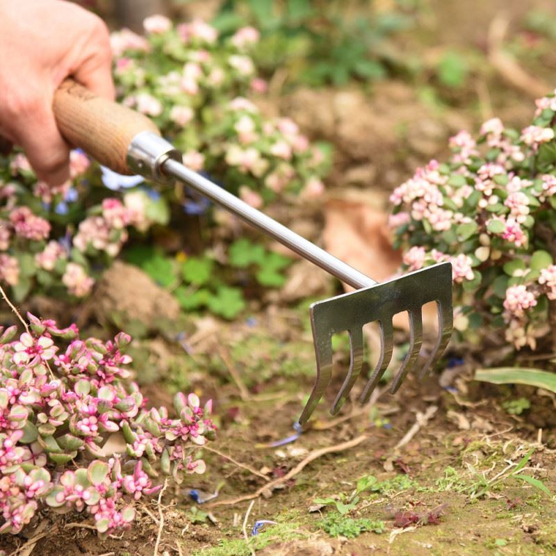 Garden hand rake Garden hand rake