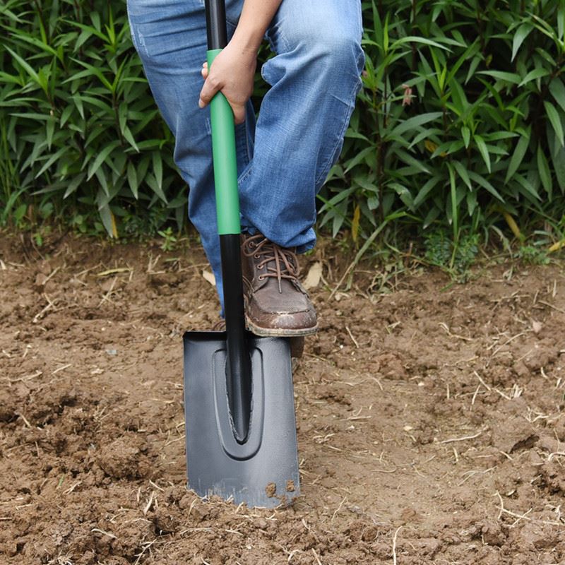 Sharp shovel for gardening function in use