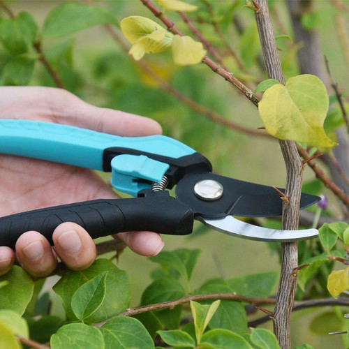 save-hard-pruner-scissors save-hard-pruner-scissors