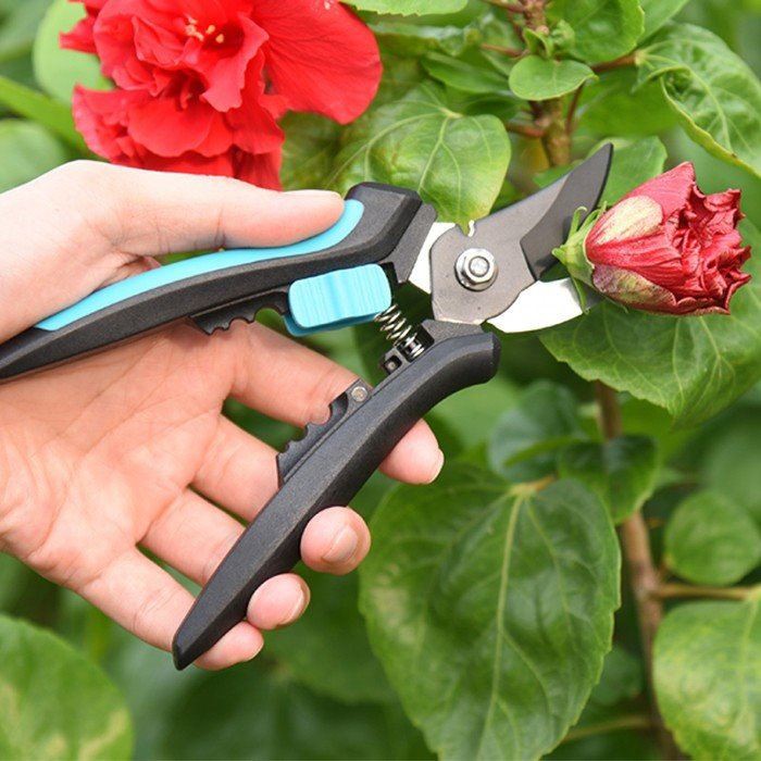 Hand Bypass Pruners