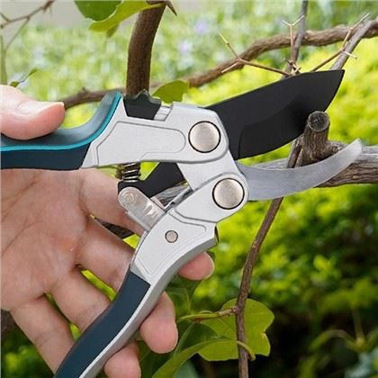 अपने सेब के पेड़ों के लिए उत्तम प्रूनर्स का चयन: एक माली की मार्गदर्शिका