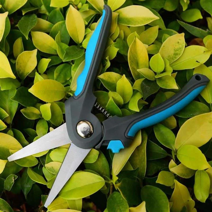 Stainless Garden Bypass Pruners