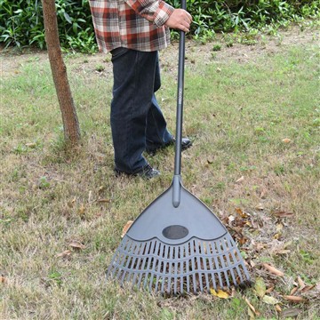 हम सर्दियों के मौसम में विंका की देखभाल कैसे करते हैं?