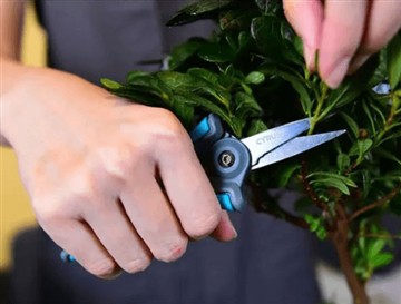 हमने नई और बड़ी कैंची क्यों लॉन्च की