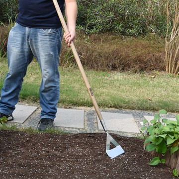 वेजिटेबल गार्डन शुरू करने के फायदे