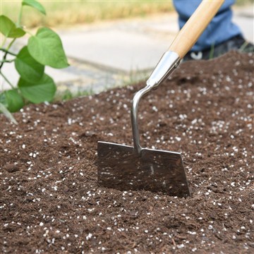 कम - रखरखाव उद्यान कैसे बनाएं?