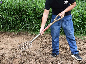 रूसी उद्यान संस्कृति का संक्षिप्त परिचय