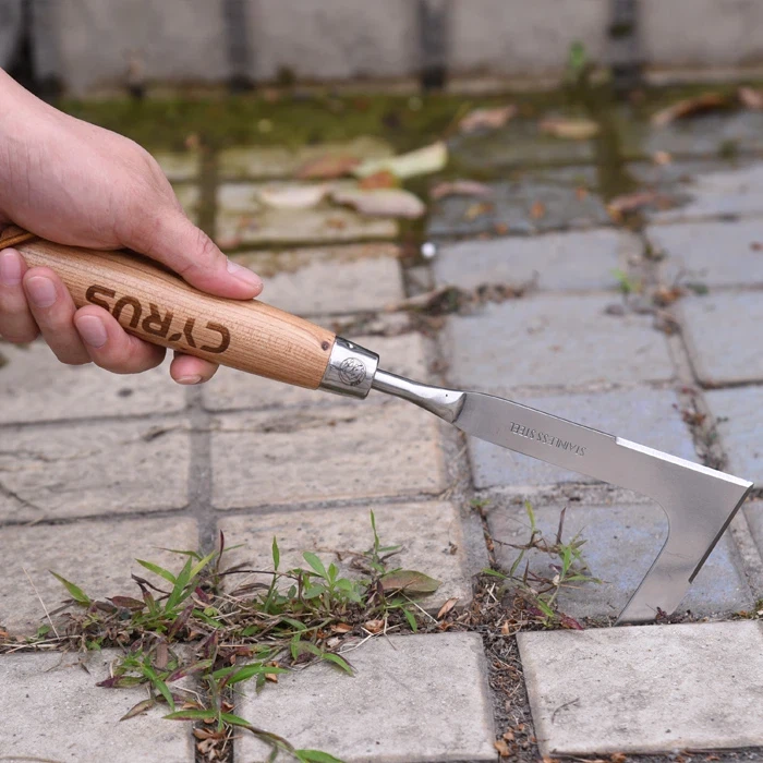 स्टेनलेस हैंड वीडर से बगीचे की निराई करना आसान हो गया