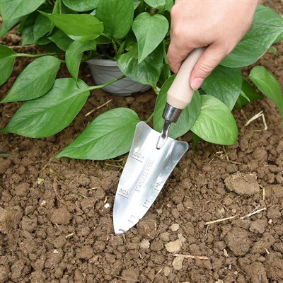 उद्यान रोपण डायरी -1