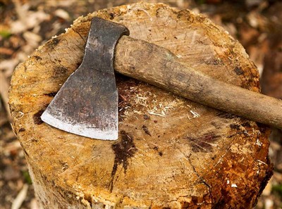 पेड़ काटने के उपकरण और सुरक्षा गियर