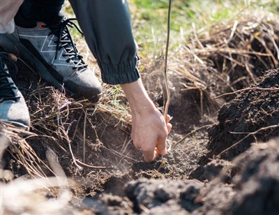 जड़ें खोदने के मनोरंजक कदम