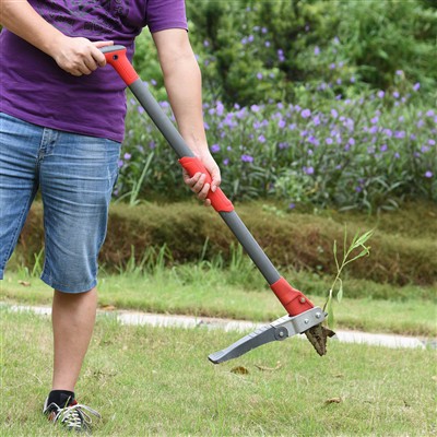 खड़े होकर गुड़ाई करने वाला उपकरण बिना किसी मेहनत के गुड़ाई के लिए