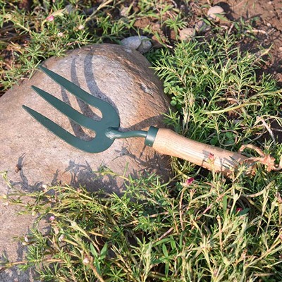 गार्डन टूल्स का हर दिन का रोमांच