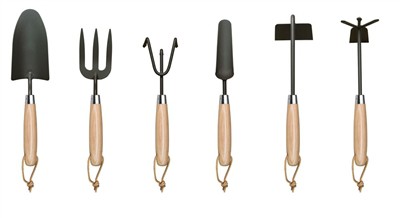 घर पर टमाटर रोपण