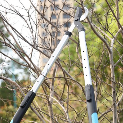 व्यस्त व्यक्तियों के लिए बागवानी: सीमित समय में अपने बगीचे की देखभाल के लिए य...