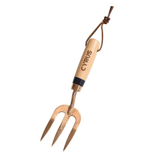 स्टेनलेस स्टील गार्डन हाथ कांटा