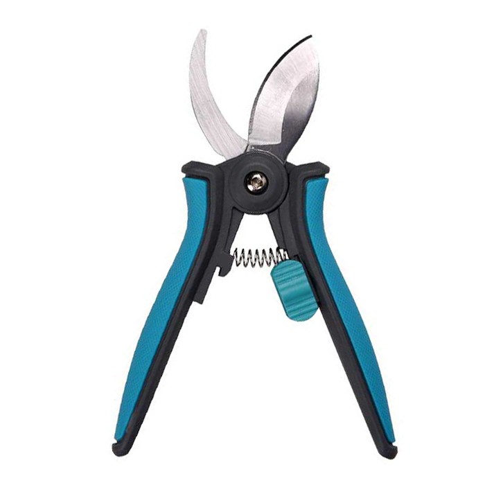 हाउसप्लांट प्रूनर