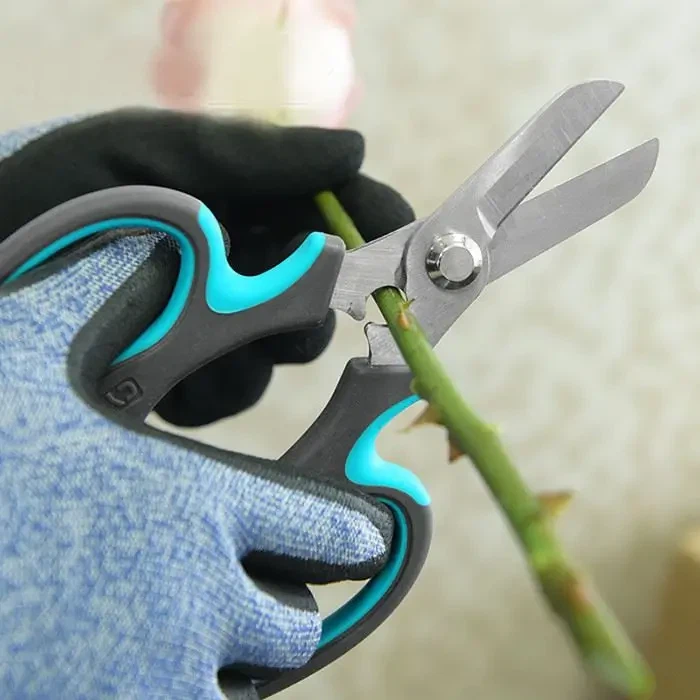 प्रूनिंग शियर्स और गुलाब एक आदर्श मेल होंगे