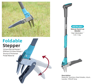 दुनिया भर में मध्य-शरद उत्सव का जश्न: परंपरा और उद्यान उपकरणों का सामंजस्य