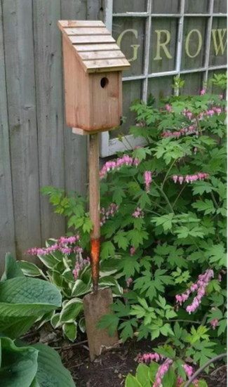 info-265-449 info-265-449