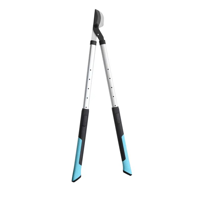 लंबे समय से संभाला