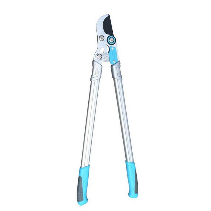 लोपिंग प्रूनिंग कैंची