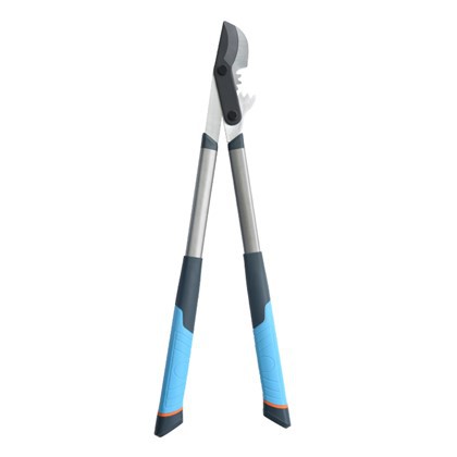 शाखाओं को काटने के लिए लोपर्स